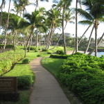 wailea_trail