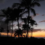 sunset_palms