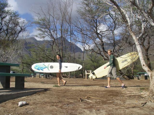 me_kt_boards_walking