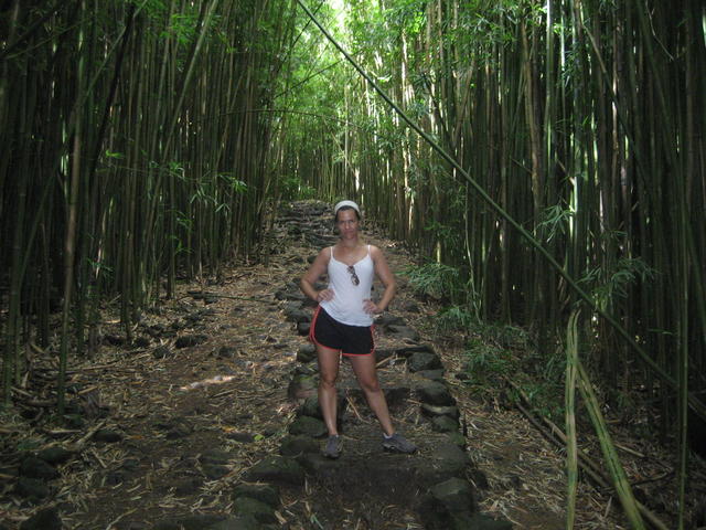 bamboo_trail