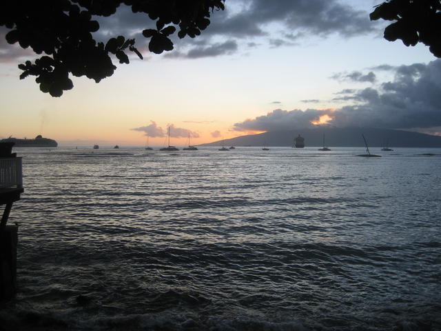 lahaina_boats