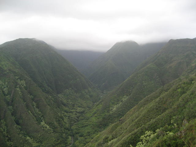 waihee_ridge