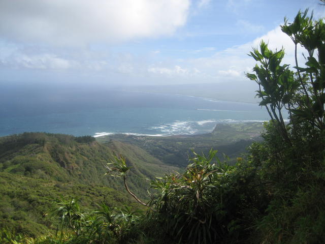 waihee_ridge_trail