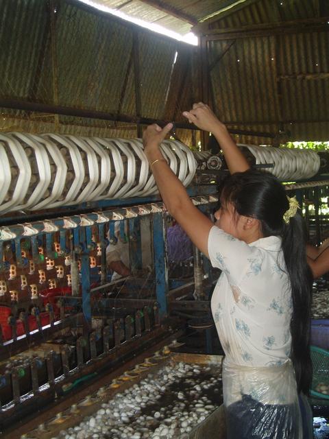 29_silk_weaving_machine.jpg