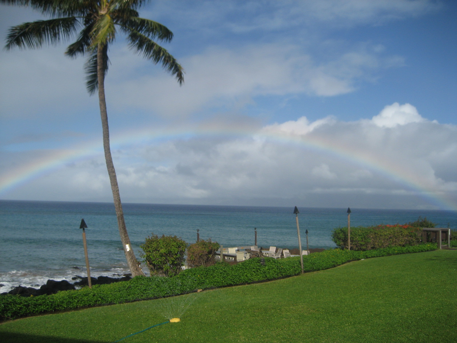 polynesian_rainbow