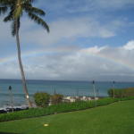 polynesian_rainbow
