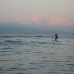 paddle_surfer