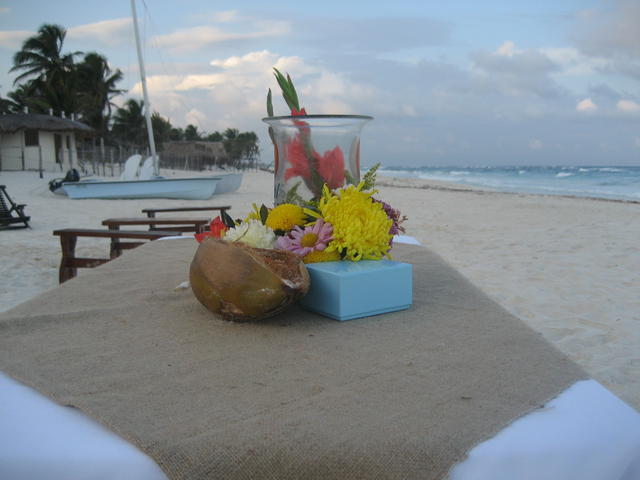 coconut_table