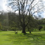 jb_susan_manor_house