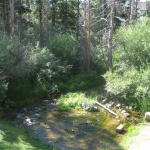 wildwood_creek