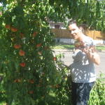 picking_peaches