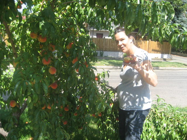picking_peaches
