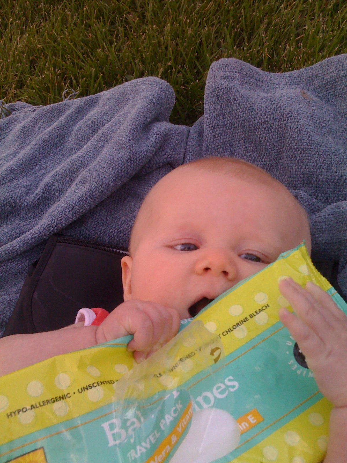 tessa_scoffs_plastic