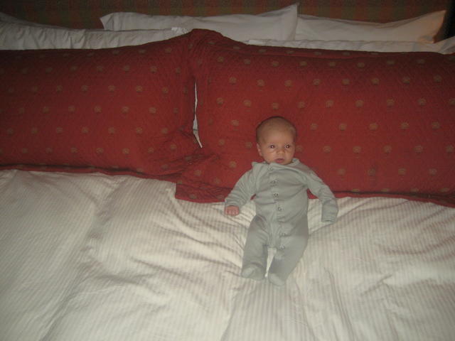 ollie_on_bed