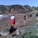 muir_beach