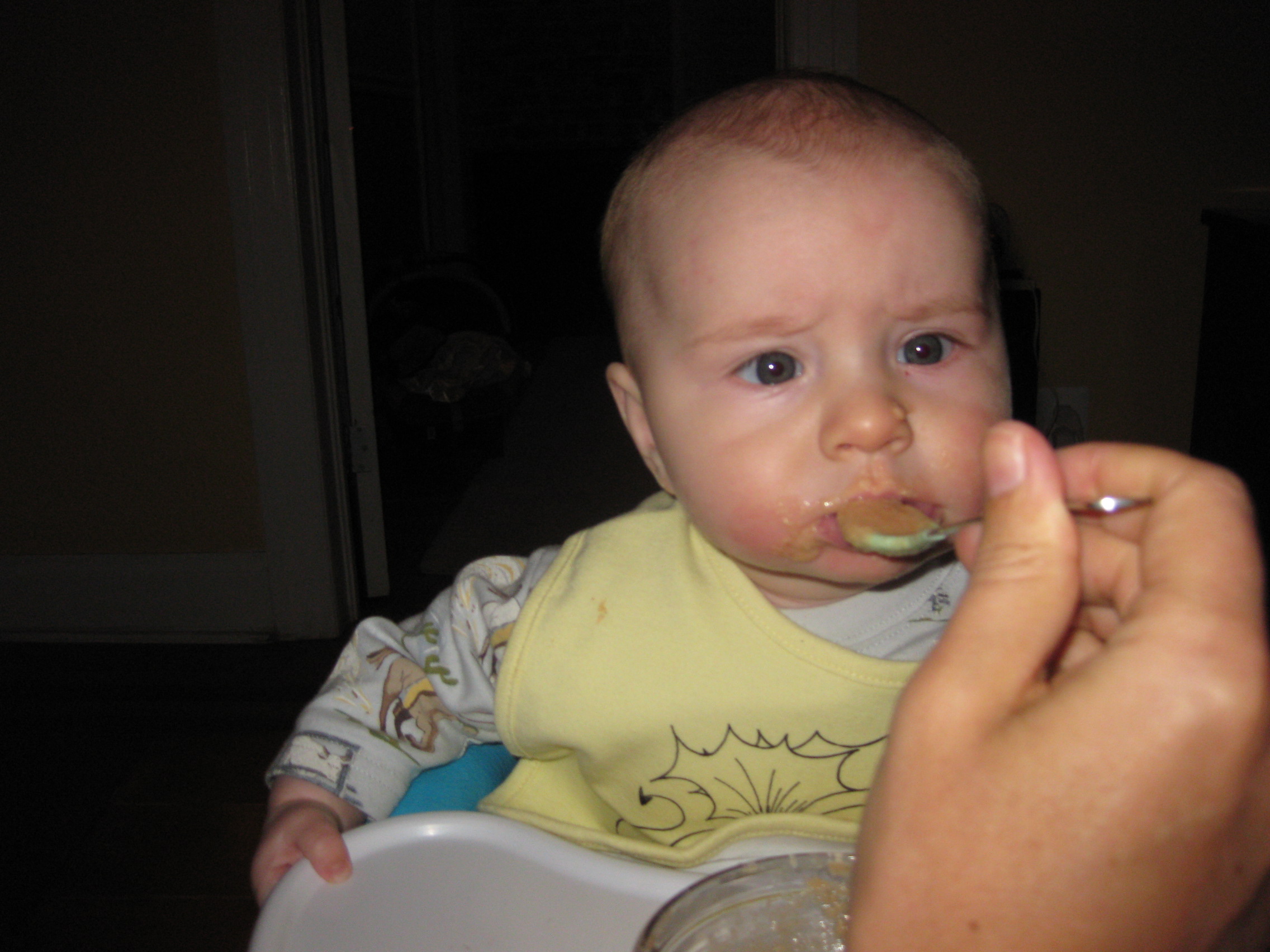 scarfing_down_carrot