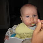 scarfing_down_carrot