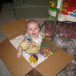 ollie_in_a_box