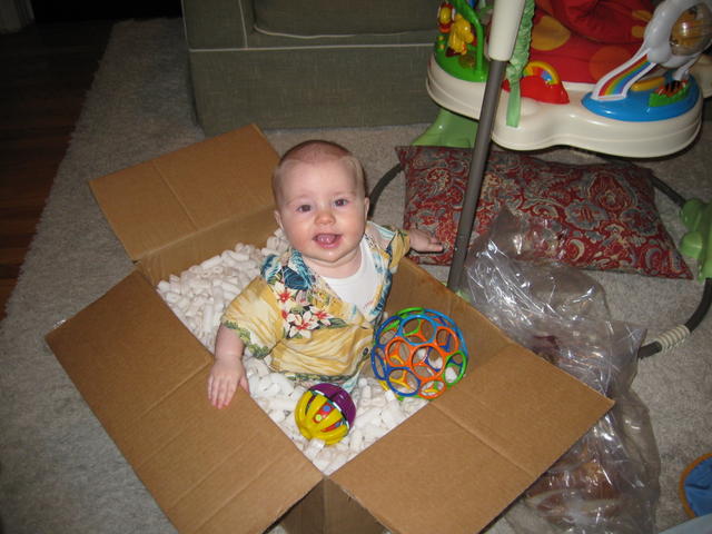 ollie_in_a_box
