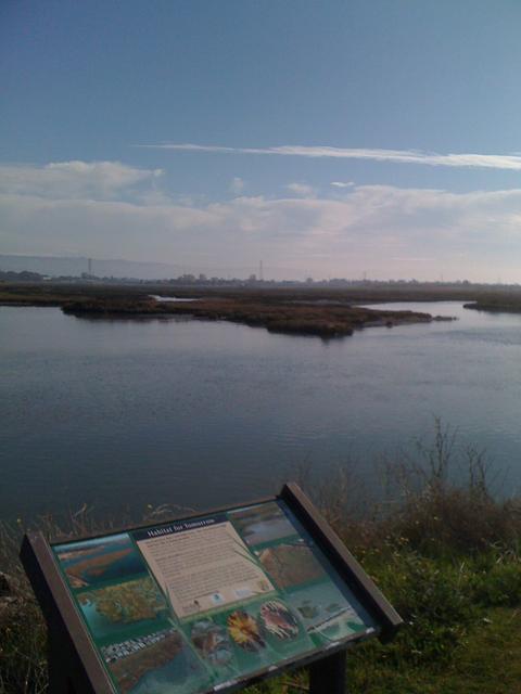 mo_wetlands
