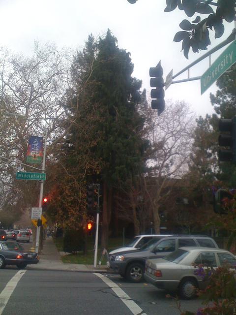 palo_alto