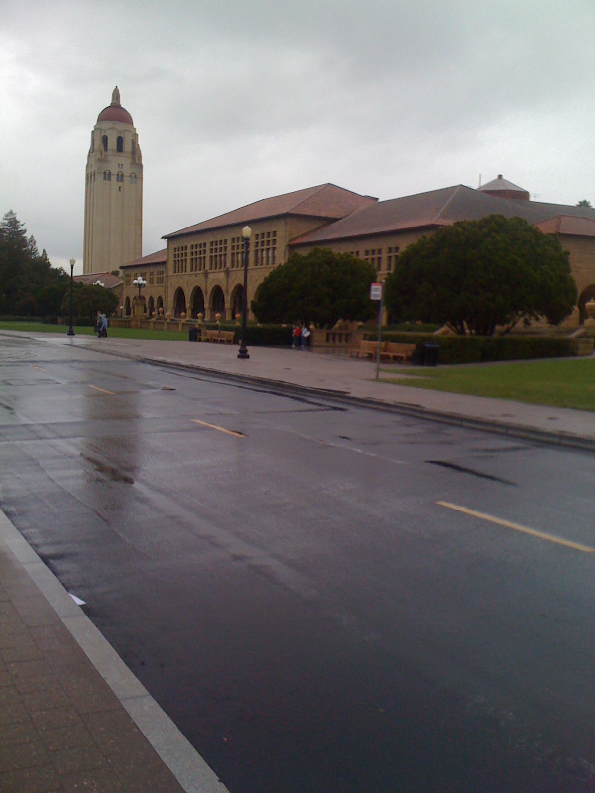 stanford