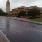 stanford