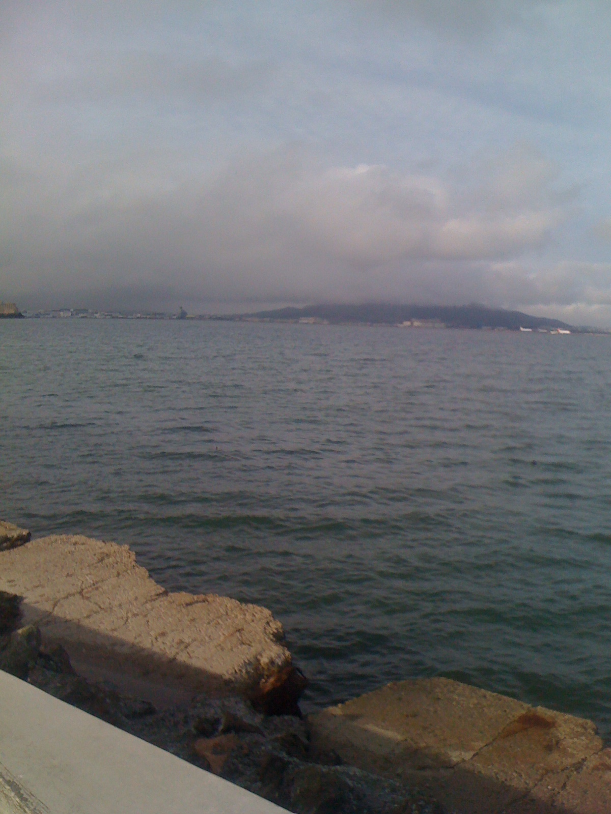sfo_bay
