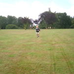 ollie_running