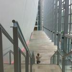 natural_history_museum