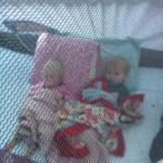 ollie_tessa_transfixed