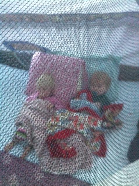 ollie_tessa_transfixed