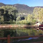 pikes_peak_campground