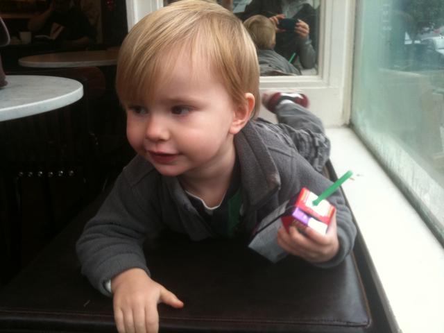 ollie_chocolate_milk