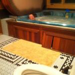 hot_tub_toilet