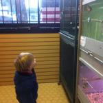 birdie_shop_curiosity