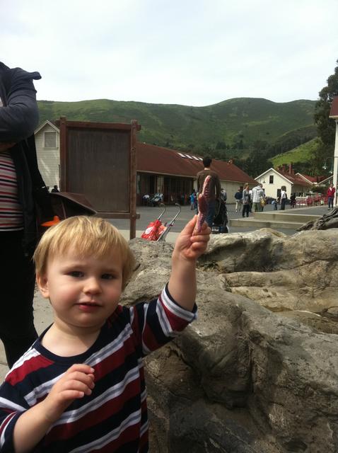 bay_area_discovery_museum