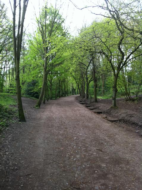 hampstead_heath