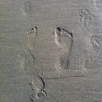 daddy_ollie_footprints