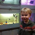 ollie_new_birdie_shop