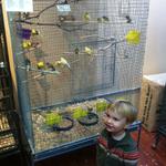 ollie_new_birdie_shop2