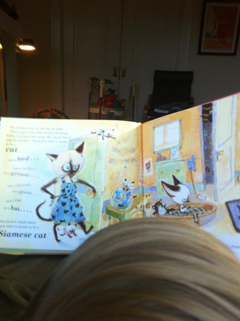 skippyjon_jones_sat_morning