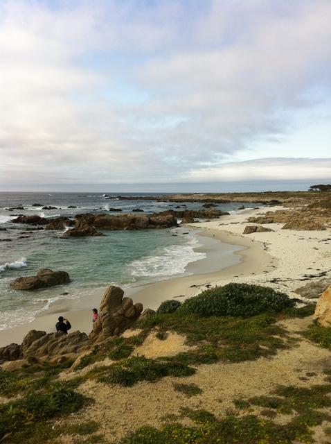 pebble_beach