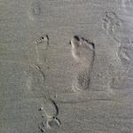 me_ollie_footprints