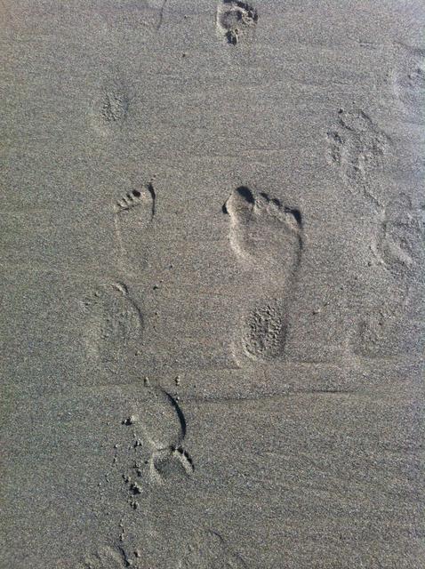 me_ollie_footprints