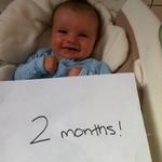 2_months_theo