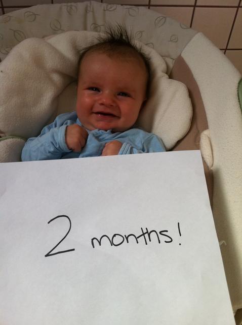 2_months_theo