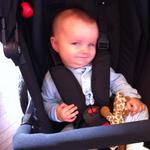 theo_stroller