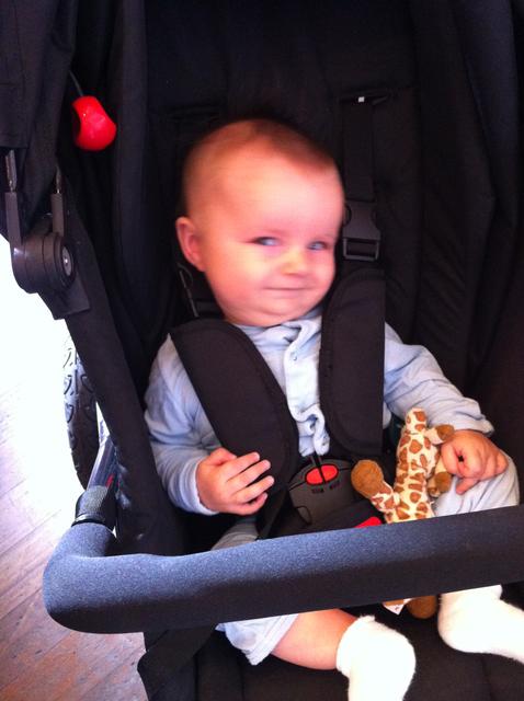 theo_stroller