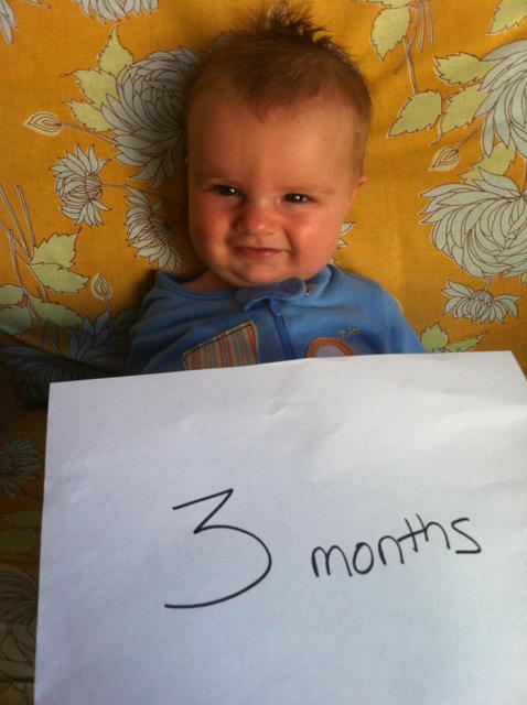 3_months_theo